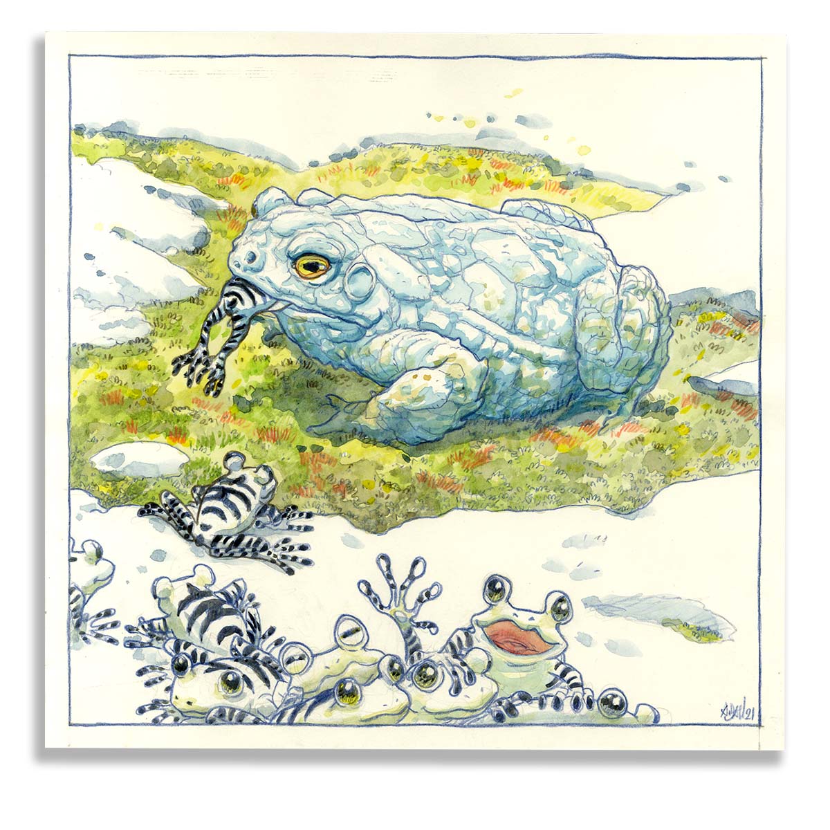 Original illustration A.Dan, Ice toad